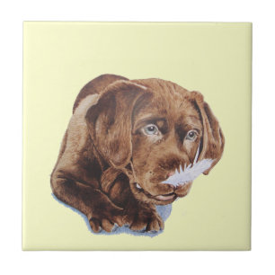 chocolate brown labrador puppy funny dog picture ceramic tile