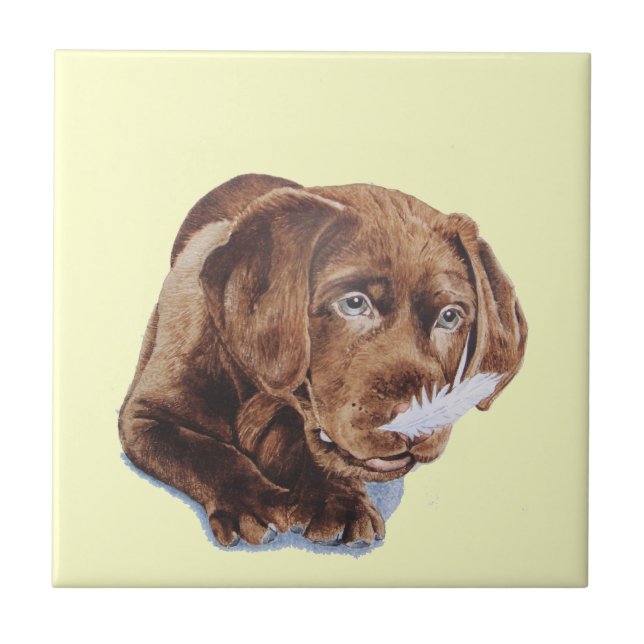 chocolate brown labrador puppy funny dog picture ceramic tile (Front)
