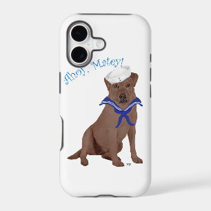 Chocolate Brown Labrador Retriever