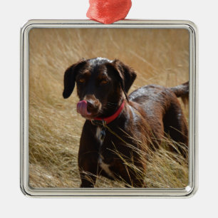 Chocolate Brown Labrador Retriever Metal Tree Decoration