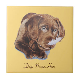 chocolate brown labrador retriever puppy portrait tile
