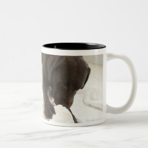 Chocolate brown labrador. Two-Tone coffee mug