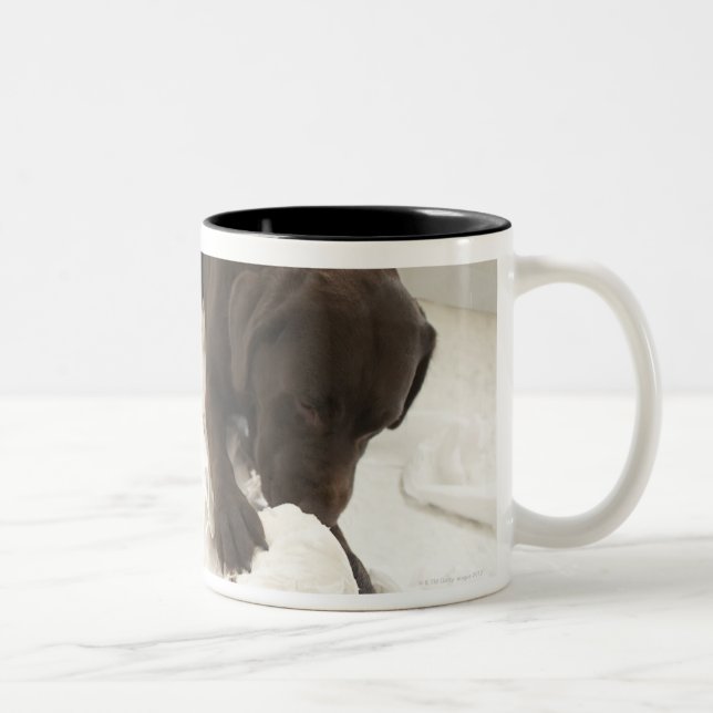 Chocolate brown labrador. Two-Tone coffee mug (Right)