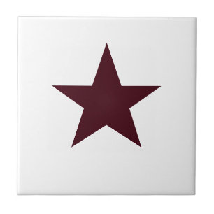 Chocolate Brown Star Ceramic Tile