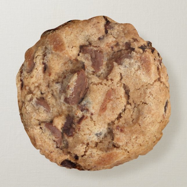 chocolate chip cookie pillow (Back)