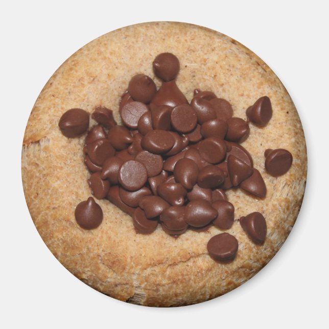 Chocolate Chip Kolache magnet (Front)
