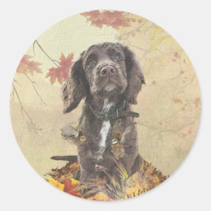 Chocolate cocker spaniel puppy     classic round sticker