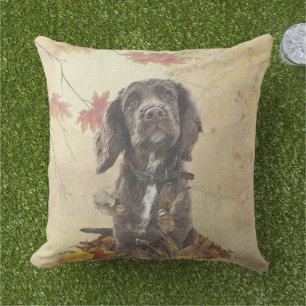 Chocolate cocker spaniel puppy cushion