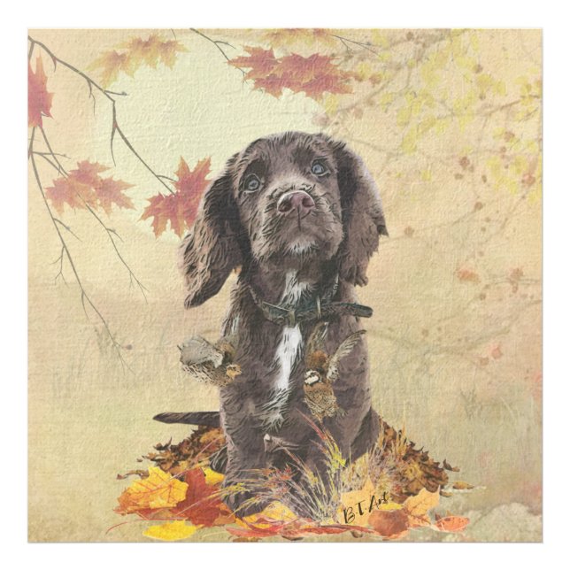 Chocolate cocker spaniel puppy   photo print (Front)