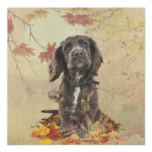 Chocolate cocker spaniel puppy  poster (Front)