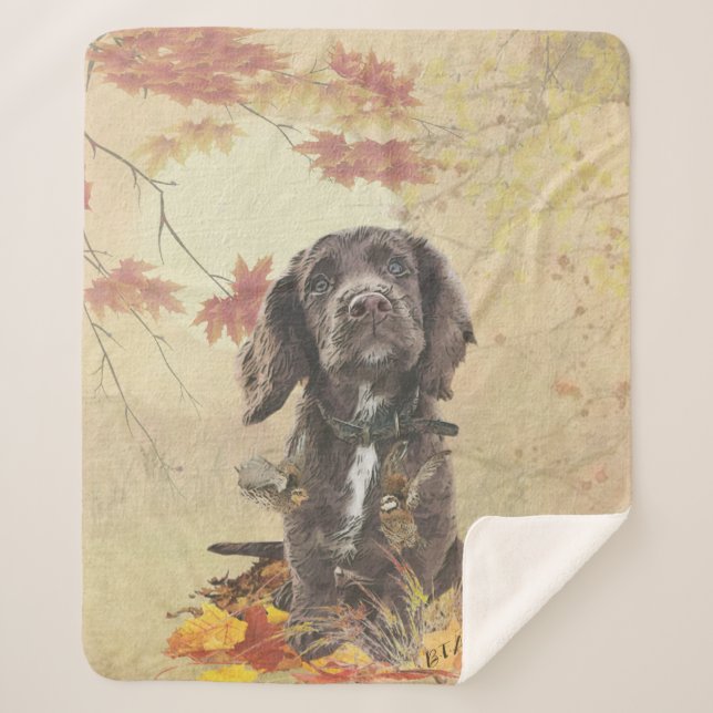 Chocolate cocker spaniel puppy   sherpa blanket (Front)