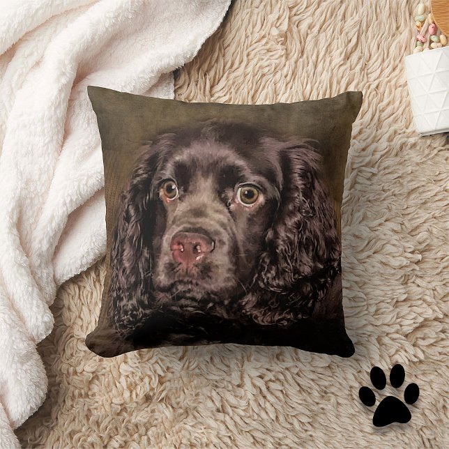 Chocolate Cocker Spaniel Throw Pillow (Creator Uploaded)