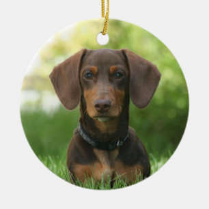 Chocolate Dachshund Doxie Dog Ceramic Ornament