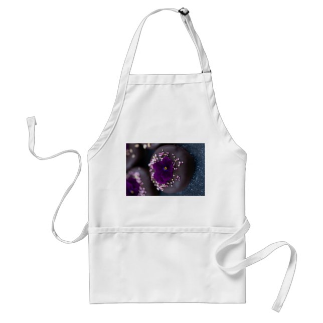 Chocolate Doughnuts Standard Apron (Front)