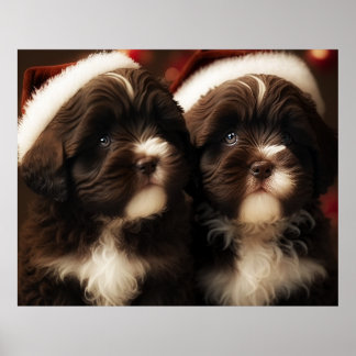 Chocolate HavaHug Havanese Christmas Puppy Puzzle  Poster