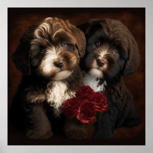 Chocolate Havanese Puppies Wall Print by HavaHug 