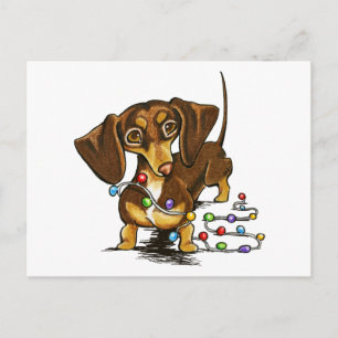 Chocolate Holiday Cheer