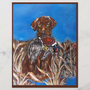 CHOCOLATE LAB
