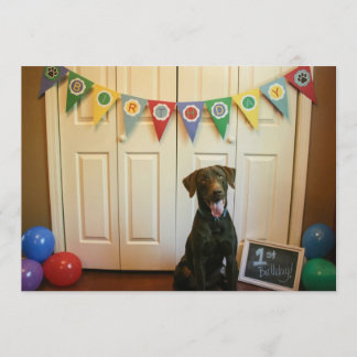 Chocolate Lab 1st Birthday Party Invitation