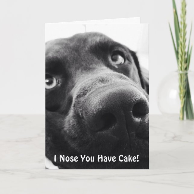 Chocolate Lab Birthday Greeting Card (Front)
