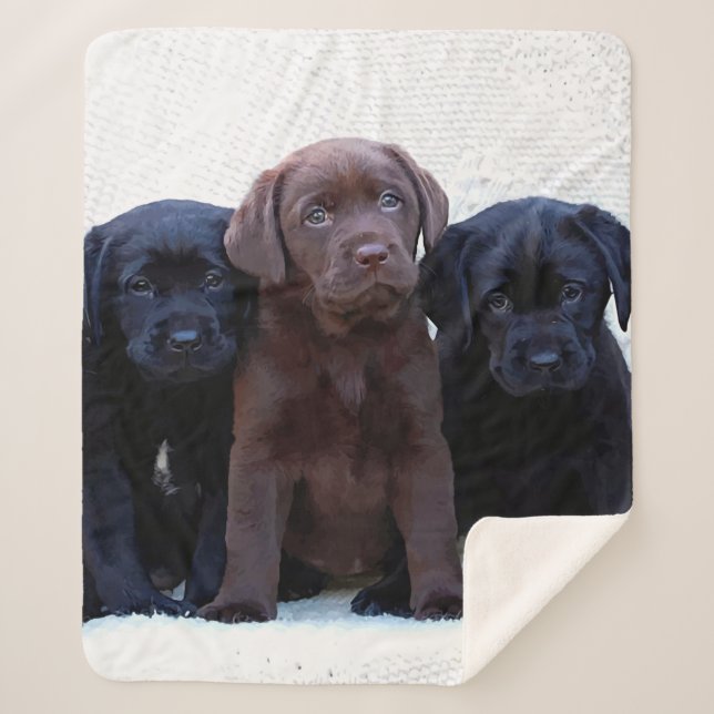Chocolate Lab - Black Labrador Puppies Sherpa Blanket (Front)