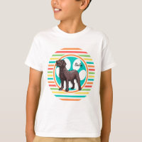 Chocolate Lab; Bright Rainbow Stripes