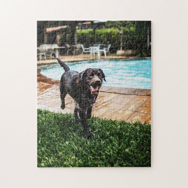 Chocolate lab by the pool jigsaw puzzle (Vertical)