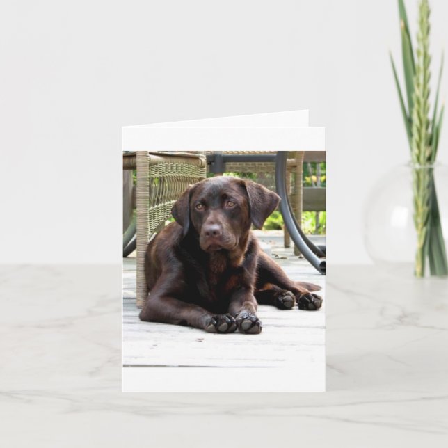 Chocolate Lab Card (Front)