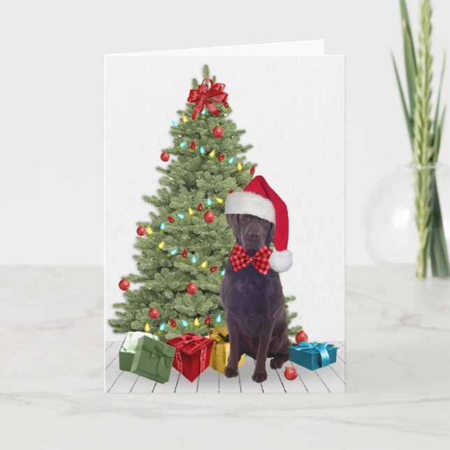 Chocolate Lab Christmas Card (Front)
