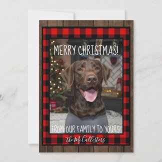 Chocolate Lab Christmas Card