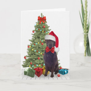 Chocolate Lab Christmas Card