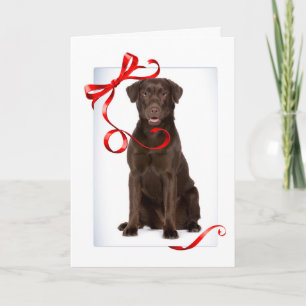 Chocolate Lab Christmas Card