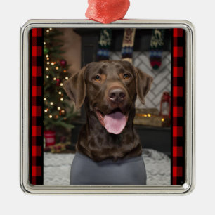 Chocolate Lab Christmas Ornament