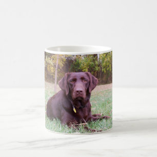 Chocolate Lab Coffee Mug