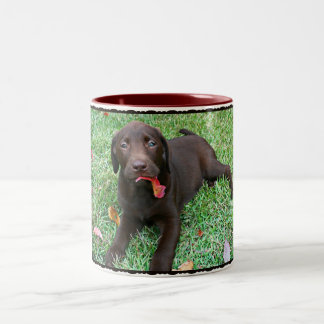 Chocolate Lab Coffee Mug