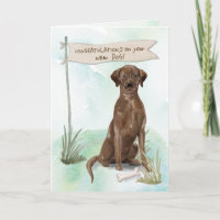 Chocolate Lab Congratulations on New Dog