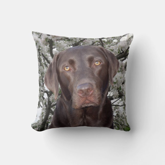 Chocolate Lab Cushion (Front)