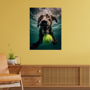 Chocolate Lab Diving Underwater  Poster