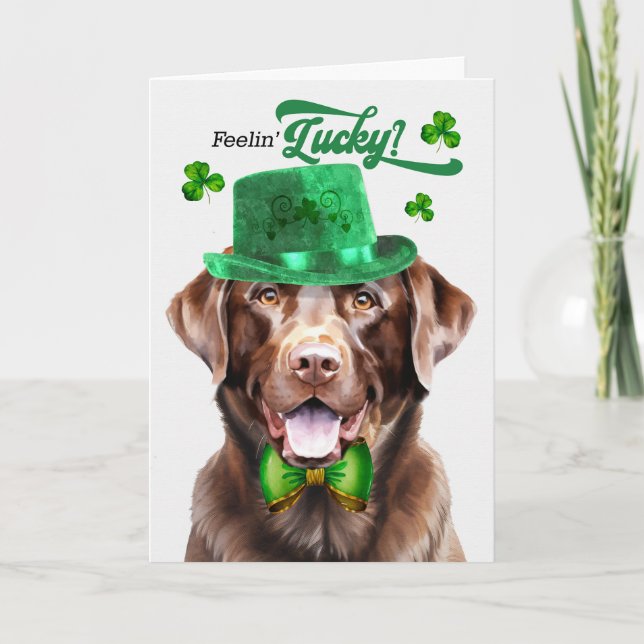 Chocolate Lab Dog Feelin' Lucky St Patrick's Day Holiday Card (Front)