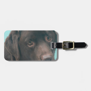 Chocolate Lab Dog Luggage Tag