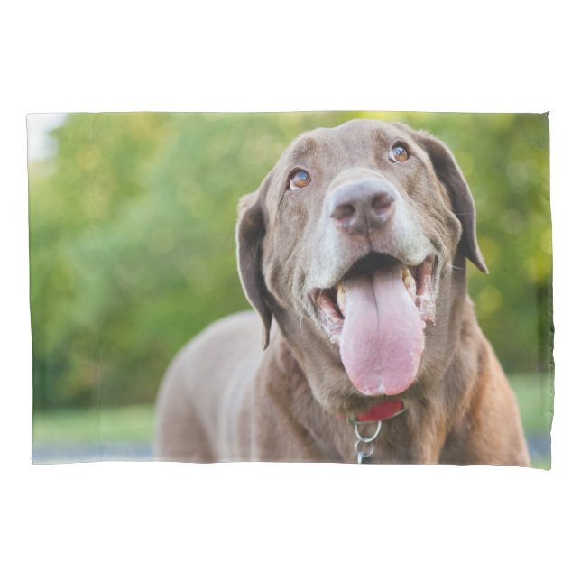 Chocolate Lab Dog Pillowcase (Front)