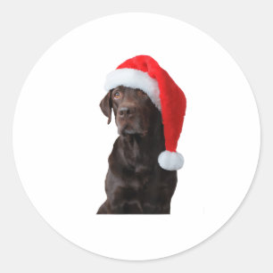 Chocolate Lab Dog Portrait Santa Hat Cute Christma Classic Round Sticker