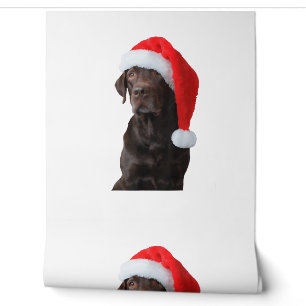 Chocolate Lab Dog Portrait Santa Hat Cute Christma Wallpaper