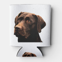 chocolate lab face