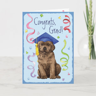 Chocolate Lab Graduate Card