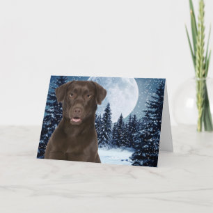 Chocolate Lab Holiday Card