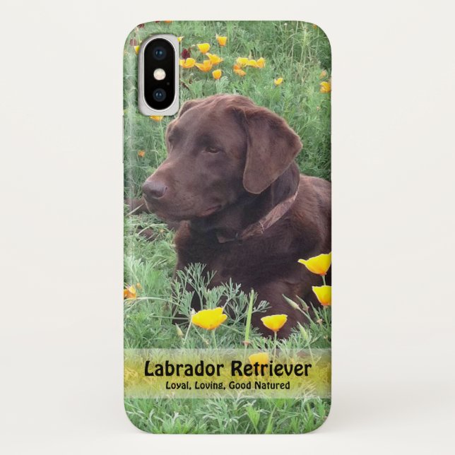 Chocolate Lab in California Poppy Patch Case-Mate iPhone Case (Back)