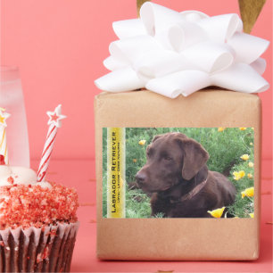 Chocolate Lab in California Poppy Patch Custom Rectangular Sticker
