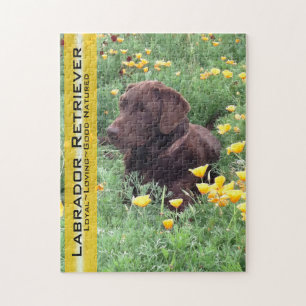 Chocolate Lab in California Poppy Patch Jigsaw Puzzle