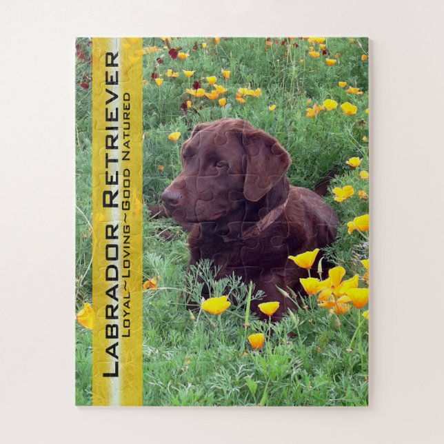 Chocolate Lab in California Poppy Patch Jigsaw Puzzle (Vertical)